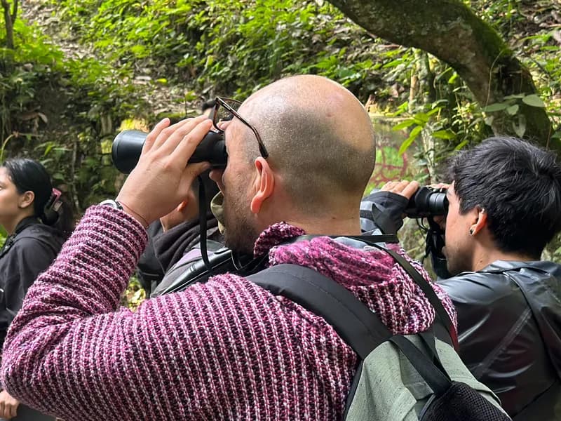Aviturismo en la Huasteca