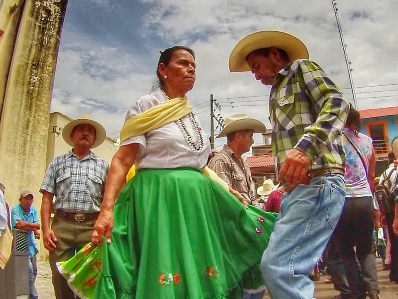 Huapangos y Sones en Vivo