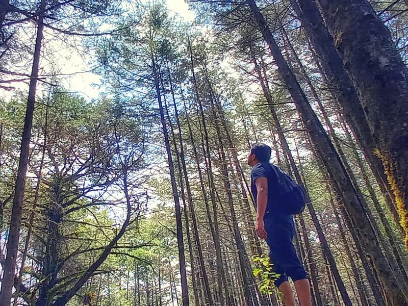 Trail Running en la Huasteca